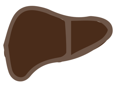 Liver Products